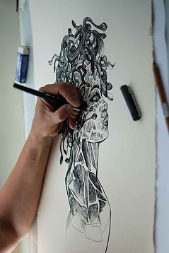 V-Medusa-disegni_edited.jpg