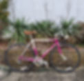 IMG_0144D35680A9-1.jpeg