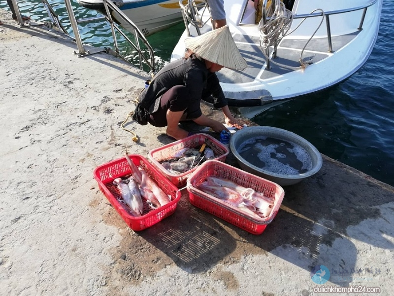 Hình ảnh hải sản tươi ngon ngay trên bờ