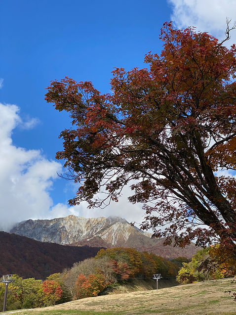 daisen.jpeg