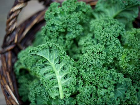 Szok ‼ 3 problemy jedzenia JARMUŻU 😲⁉️