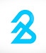 BCT Logo_edited_edited.jpg