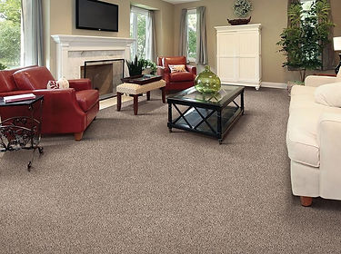 frieze-carpet-new.jpeg