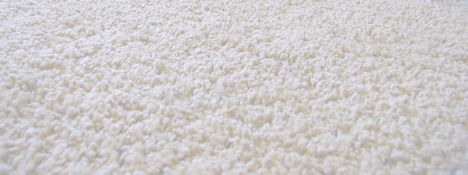 Carpet_edited_edited.jpg