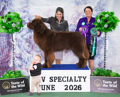 NCV Speciality 2026.jpeg