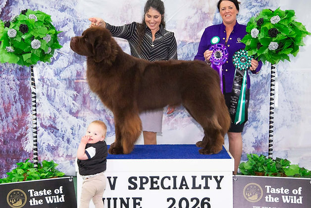 NCV Speciality 2026.jpeg