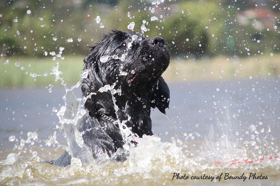 Splash !