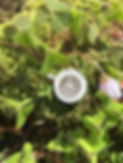 9A46E7CB-72E8-4F97-9C64-E9AC577545A5.jpeg