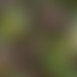 Retreat "Finde deine wilde Seele"