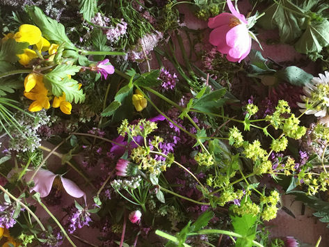 Retreat "Finde deine wilde Seele"