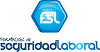 FSL_RGB_CUADRADO.jpeg