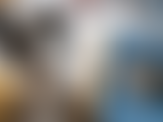 猫と犬、どっちが飼いやすい?飼育する上での7つの違いを徹底比較!