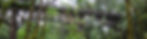 Bridge_Narrow_01.jpg