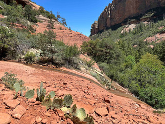 Boynton Canyon Trail End.