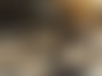 New Māori art walks in Wynyard Quarter