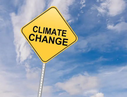 NZ needs more action on Climate Change