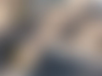 Save the date for the Wynyard Quarter Neighbours’ Forum