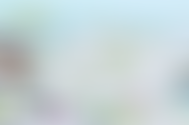 Route & stations for Light Rail take shape