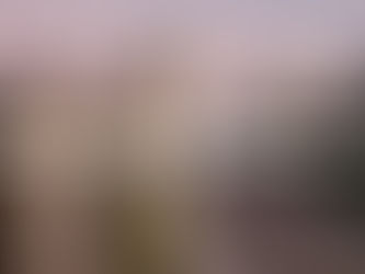 WQ Neighbours forum update