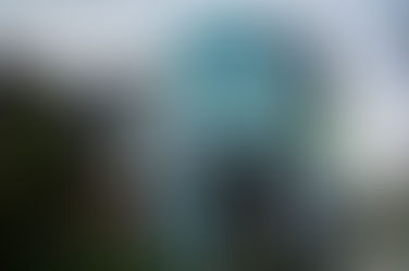 New mural celebrates native birds