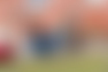 What could we deliver by bike?