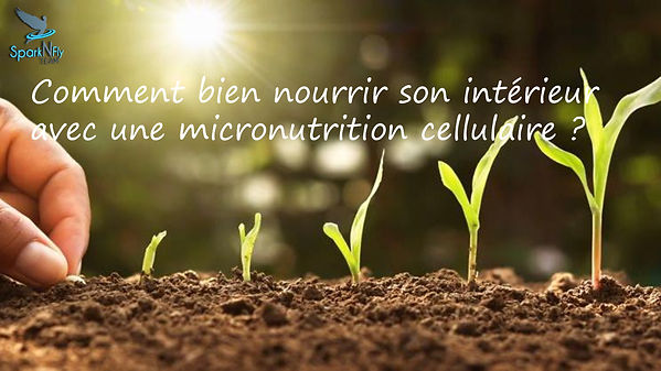 PAGEcouvertureprogmicrocell.jpeg