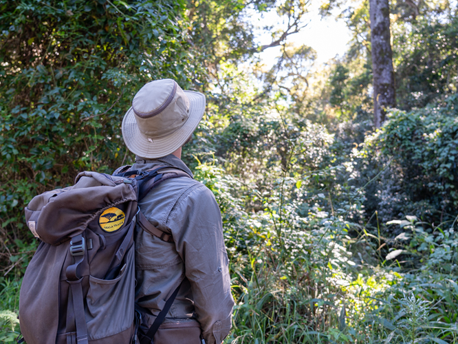 Day 4: Farewell & Departure