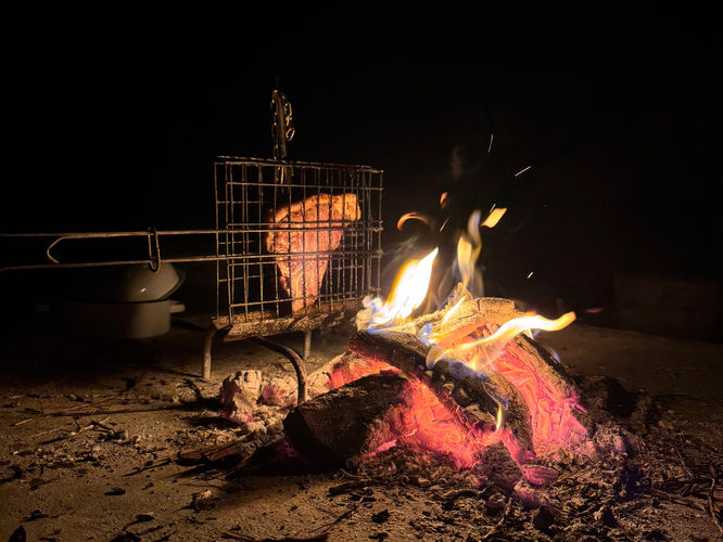 Day 3: Return to Camp & Bush Evenings