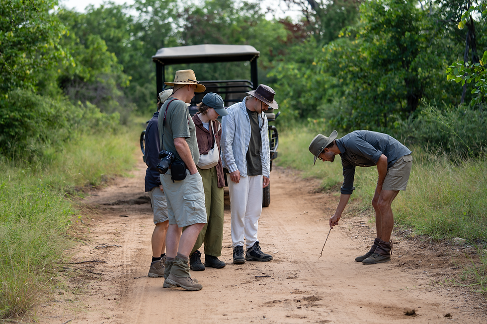 wilderness walking trails Kruger