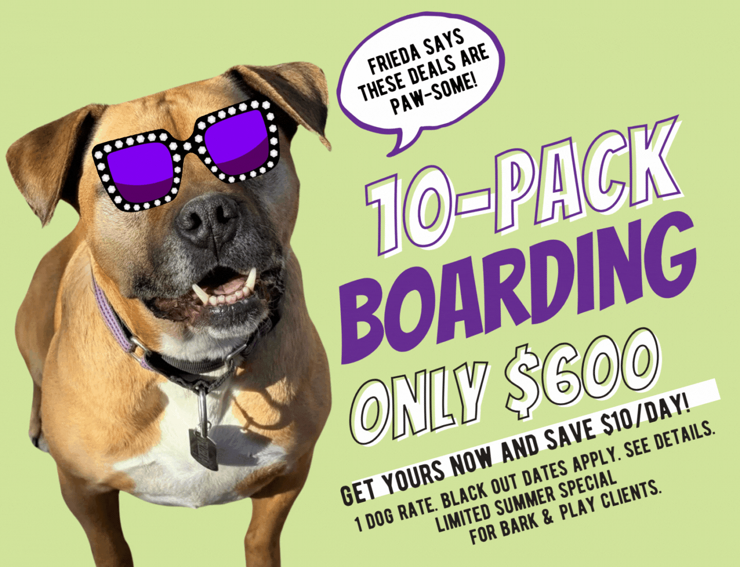 10-pack boarding 1080x1080 bark and play.gif