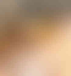 dog daycare denver bark and play