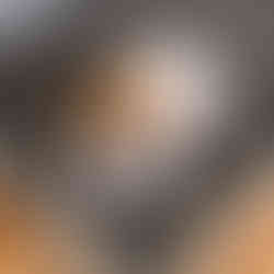 dog daycare denver bark and play