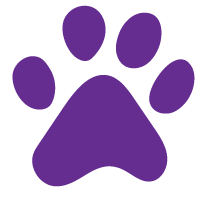 Bark and Play Denver Dog Daycare and Boarding
