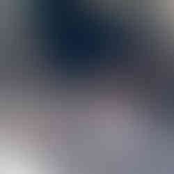 dog daycare denver bark and play