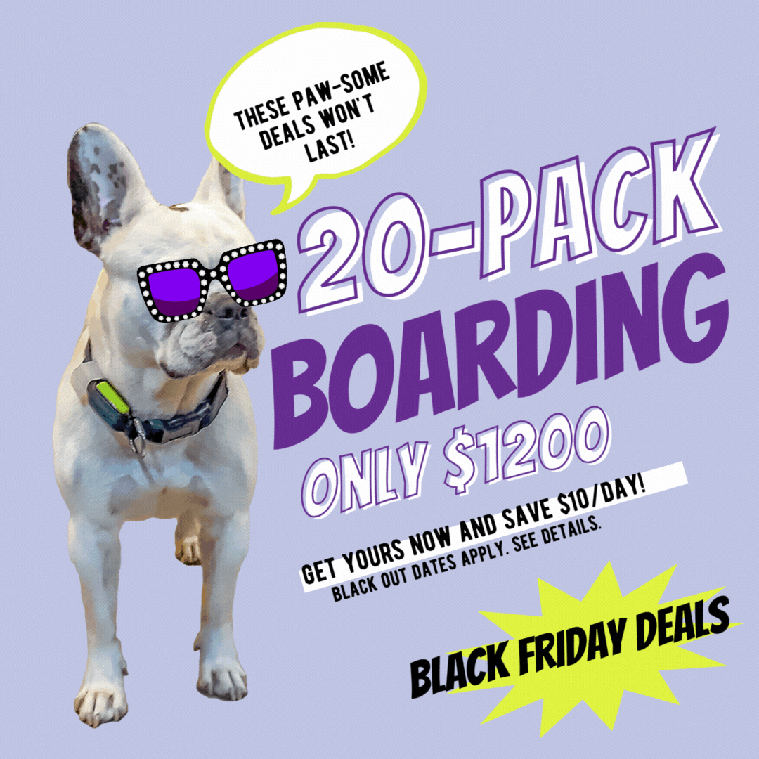 overnightdogboarding-20-pack.gif