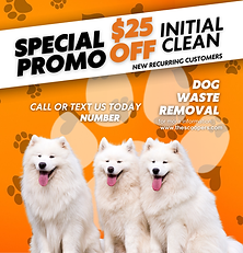 Initial Dog Waste Removal Clean.png
