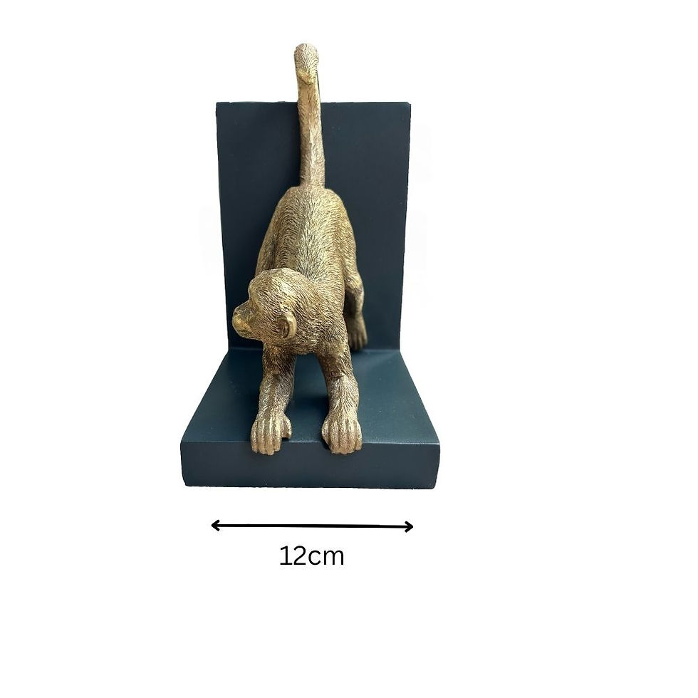 Thumbnail: Monkey Bookend Set
