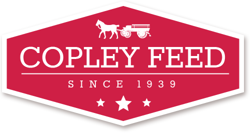 Copley Feed