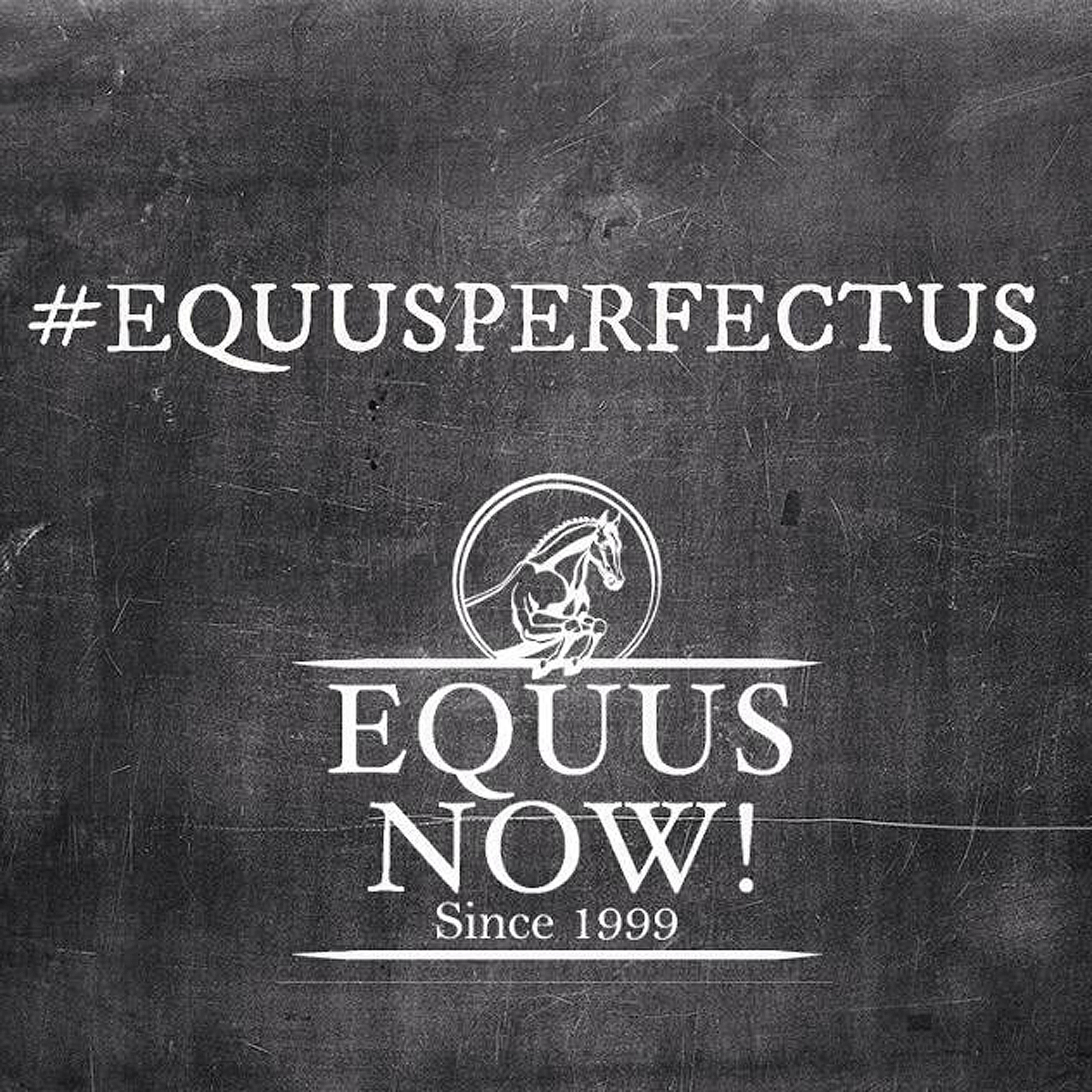 Equus Now!