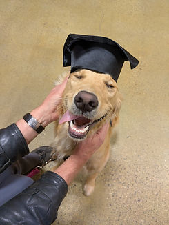 doggradsimba.jpg