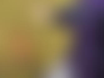 Why Is Dog Training Important?