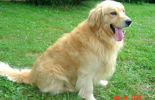 DSC04781_edited.jpg