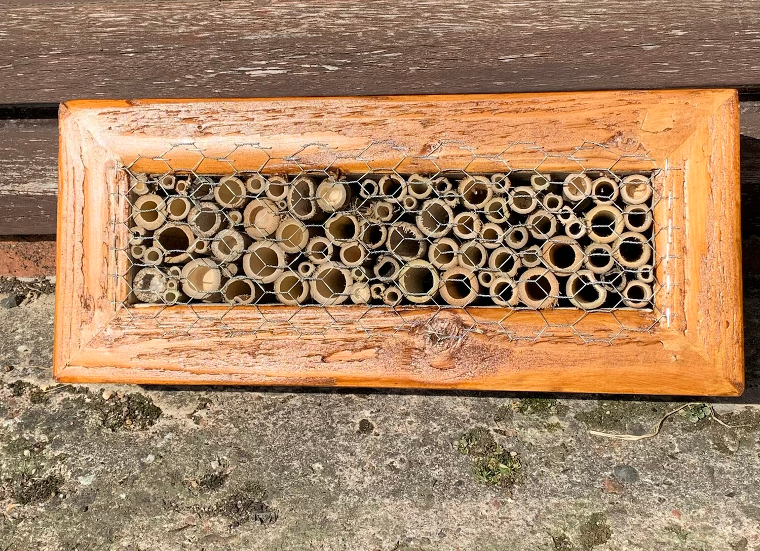 Solitary Bee Bug Hotel