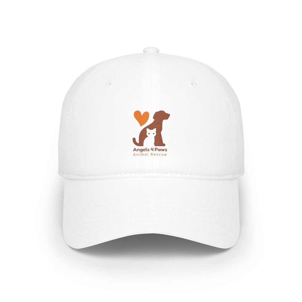 Thumbnail: Low Profile Baseball Cap