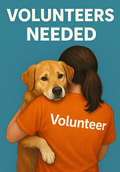 volunteers needed.png