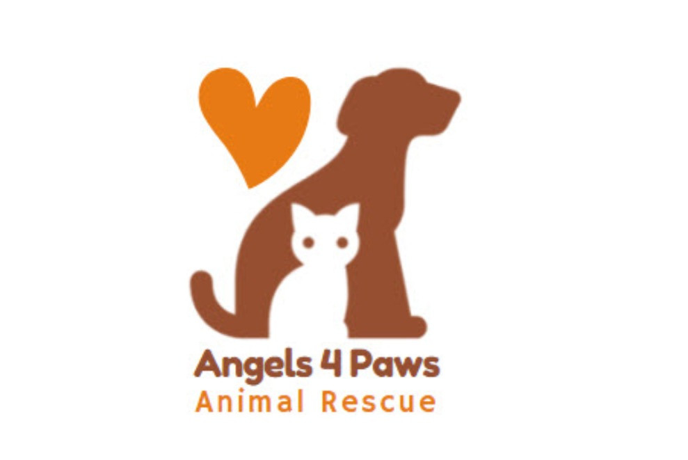 Angels4Paws Animal Rescue logo