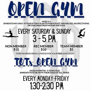 Open Gym Flyer (1).png