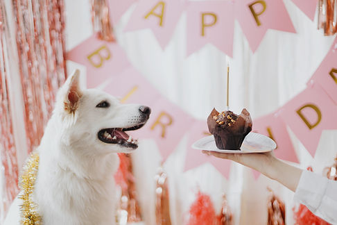 AdobeStock_432117466.jpeg