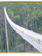 Box Net Rope Crossings for Possums