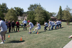 Home Office (the real champs)